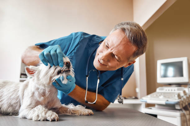 Best Emergency Root Canal Treatment in Lake Park, FL